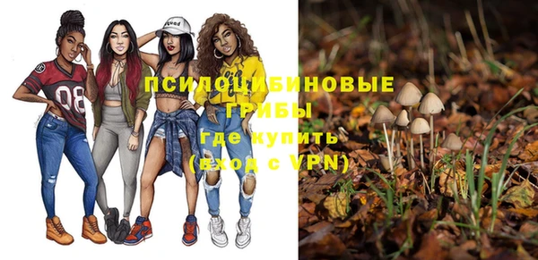 меф Инта
