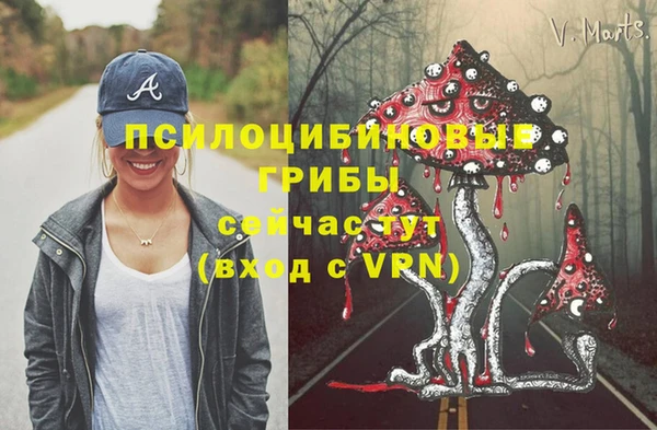 меф Инта