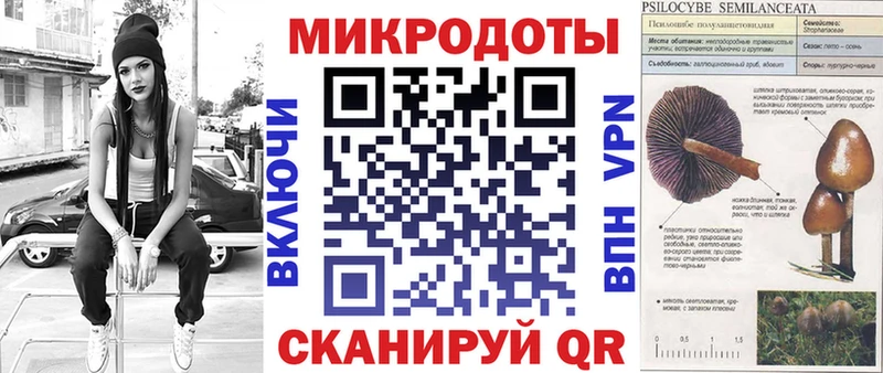 мега tor  Темников  Псилоцибиновые грибы мицелий  где найти наркотики 